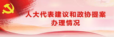 人大代表建議和政協(xié)提案辦理情況